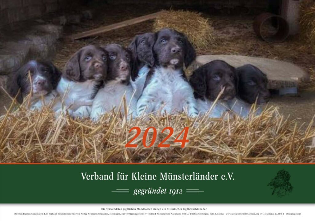 The 2024 KlM Calendar is now available! Kleine Munsterlander